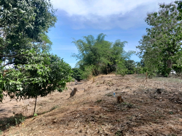 À vendre : Terrain de 2000 m² en bord de route et proche de la mer à ne pas manquer