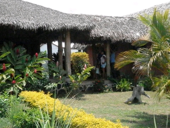 A louer, charmante maison niché dans un joli jardin tropical.