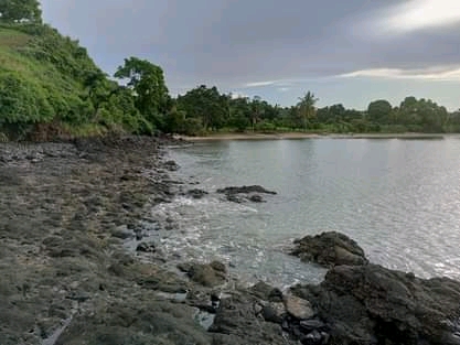 Grand terrain avec plage à prix cassé !