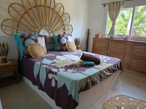 À VENDRE – Superbe Propriété Alliant Charme Tropical et Confort Européen