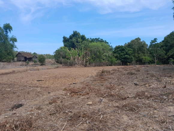 À vendre : Terrain de 2000 m² en bord de route et proche de la mer à ne pas manquer