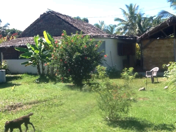 2 bungalows à louer situé à  Ankibanivato