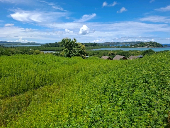 Terrain proche de la mer avec une merveilleuse vue panoramique dans un secteur en pleine