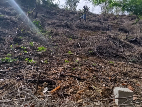 OPPORTUNITÉ RARE – TERRAIN PIEDS DANS L’EAU À ANTAFIANAMBITRY, NOSY BE
