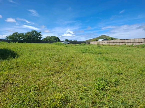 Opportunité foncière : 3 350 m² de potentiel pur face à la mangrove