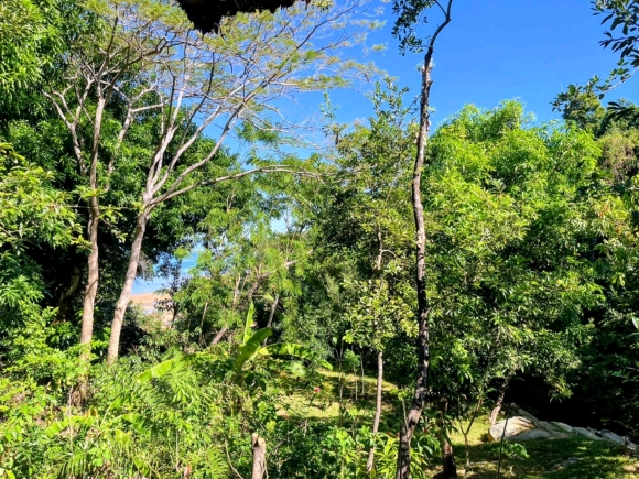 À VENDRE – Magnifique propriété à 20 m de la plage sur Nosy Komba