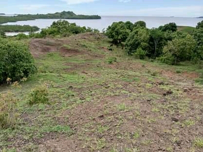 Grand terrain avec plage à prix cassé !