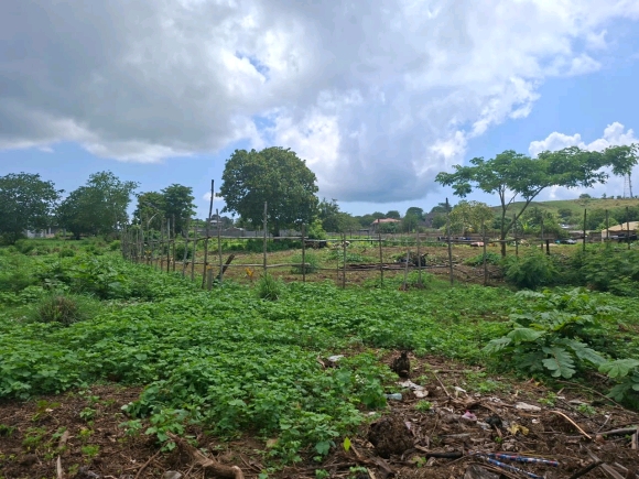 Nosy Be / Hell-Ville : L'équilibre parfait entre vie urbaine et sérénité résidentielle