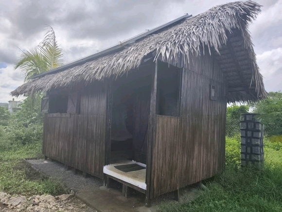 À VENDRE – Charmante maison proche de la mer, environnement calme – Nosy Be