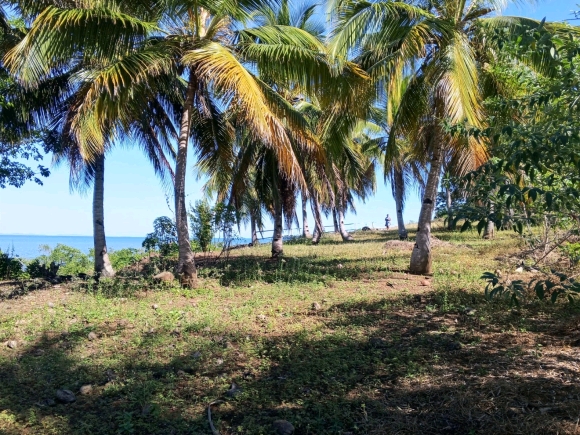 Votre Eden privé: Front de Mer, Cocotier et Vue Panoramique!