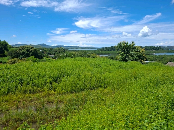 Terrain proche de la mer avec une merveilleuse vue panoramique dans un secteur en pleine