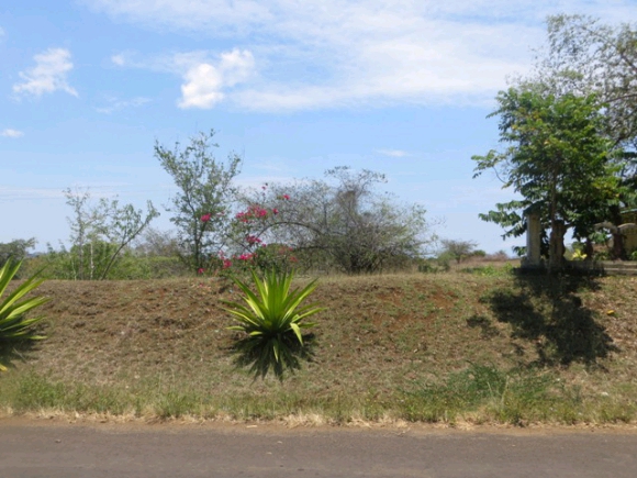 A vendre, terrain à Antanamitarana