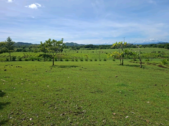 COUP DE COEUR: Votre Domaine Vue Mer dans un quartier résidentiel !