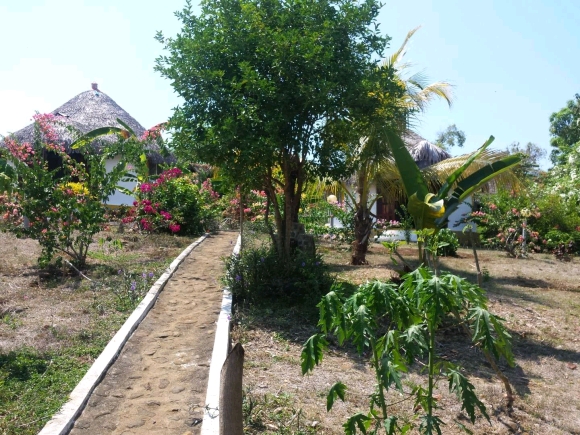 Emplacement d’Exception Pieds dans l’Eau: Domaine de 3936 m² Faces aux Îles Mitsio