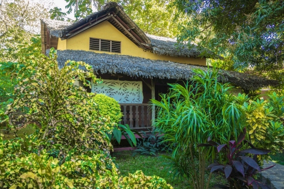 À vendre : Maison d'hôtes d'exception avec piscine et jardin tropical