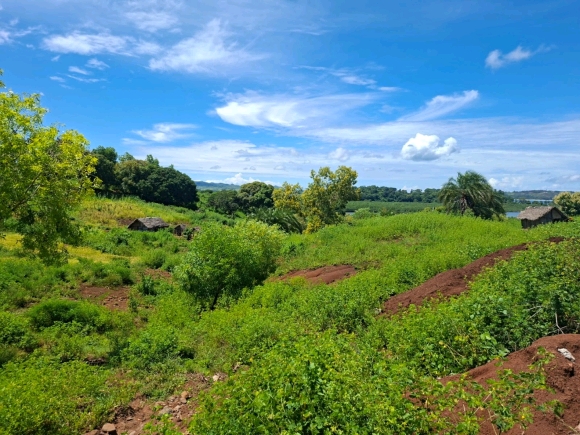 Terrain proche de la mer avec une merveilleuse vue panoramique dans un secteur en pleine