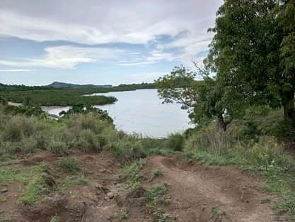 Grand terrain avec plage à prix cassé !