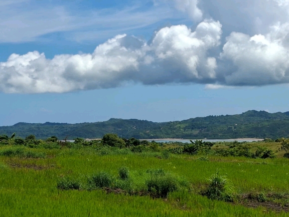 OPPORTUNITE D'INVESTISSEMENT: Domaine Résidentiel Vue Mer