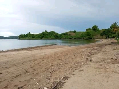 Grand terrain avec plage à prix cassé !