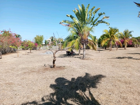 À vendre : Terrain prêt à bâtir dans un quartier résidentiel calme et sécurisé