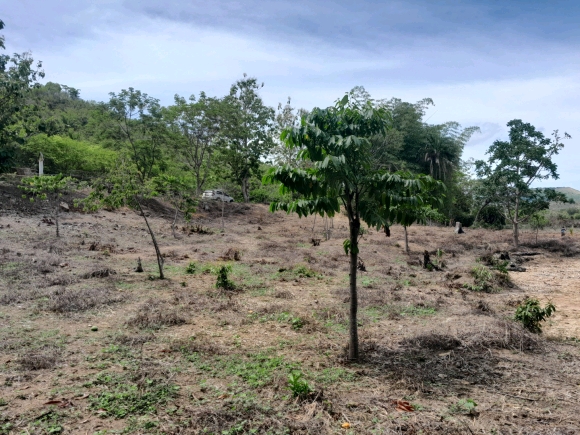 À vendre : Terrain de 2000 m² en bord de route et proche de la mer à ne pas manquer