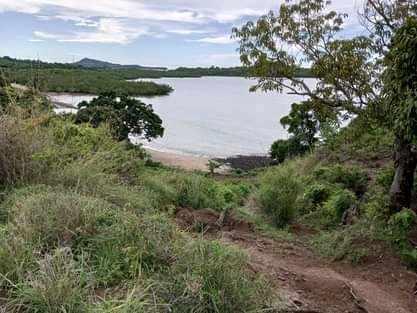 Grand terrain avec plage à prix cassé !