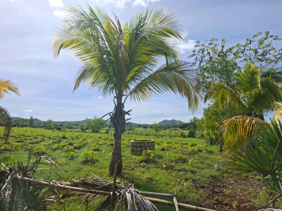 COUP DE COEUR: Votre Domaine Vue Mer dans un quartier résidentiel !