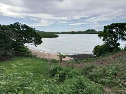 Grand terrain avec plage à prix cassé !