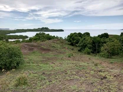 Grand terrain avec plage à prix cassé !