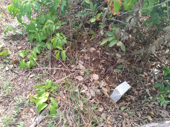 OPPORTUNITÉ RARE – TERRAIN PIEDS DANS L’EAU À ANTAFIANAMBITRY, NOSY BE