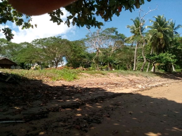 Terrain en bord de plage situé à Presqu'île d'Ambato(2)