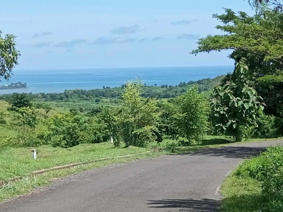 Terrain avec vue imprenable sur le lac et une vue mer en bonus !