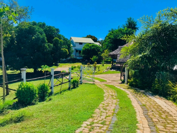 A louer, bel appartement meublé avec belle vue, un beau jardin