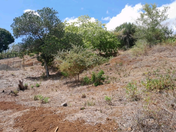 TERRAIN AVEC VUE MER ET VUE SUR LA CAMPAGNE DANS UN  QUARTIER CALME PAS LOIN DE LA PLAGE