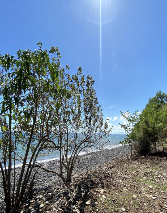 Terrain en bord de plage situé à Antafondro(2)