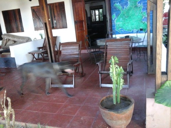 A louer, Villa en maison d'hôte, pied dans l'eau situé à Ambondrona(3)