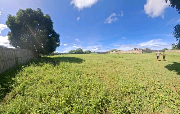 Opportunité foncière : 3 350 m² de potentiel pur face à la mangrove