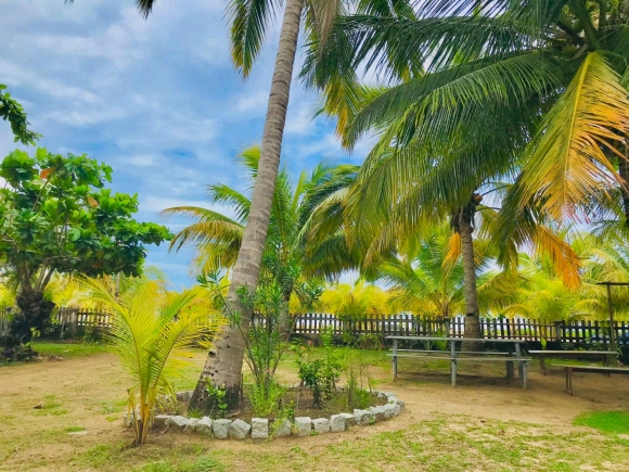 A louer-Villas en copropriété meublées, pied dans l'eau avec jardin
