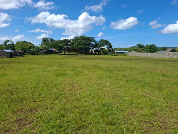 Opportunité investisseur: Grand terrain à haut potentiel près d'Andilana!