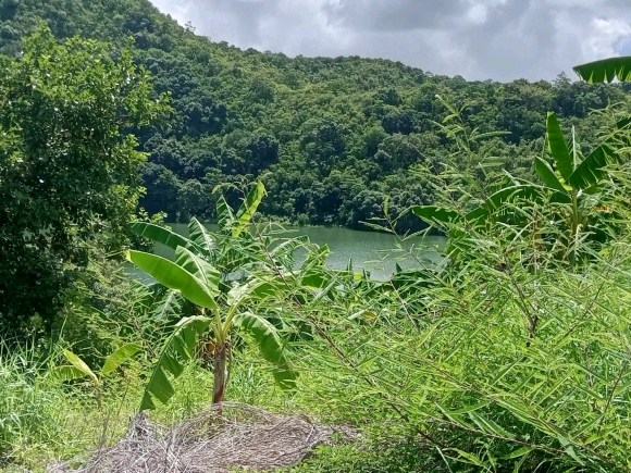 Terrain avec vue imprenable sur le lac et une vue mer en bonus !