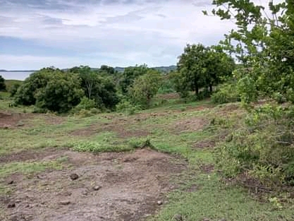 Grand terrain avec plage à prix cassé !