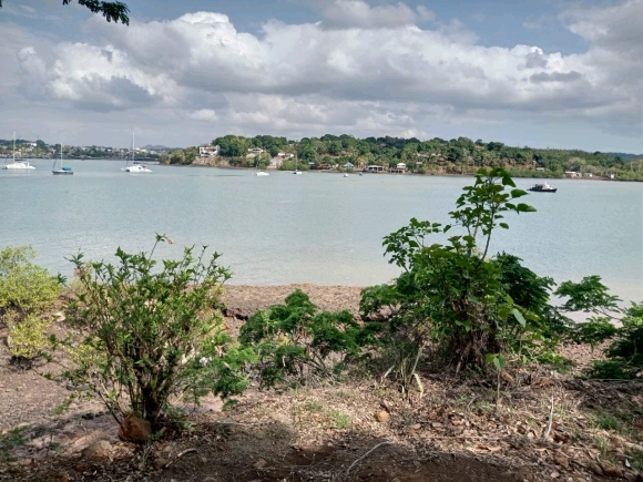 Terrain à proximité de la ville offrant un champ de vision dégagé sur la mer