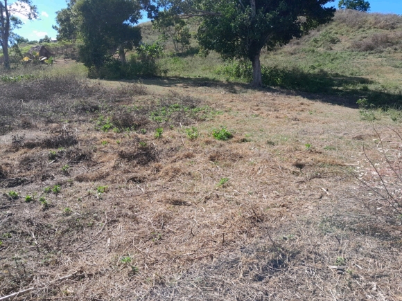 À VENDRE : Terrain d'Exception dans un Quartier Calme !