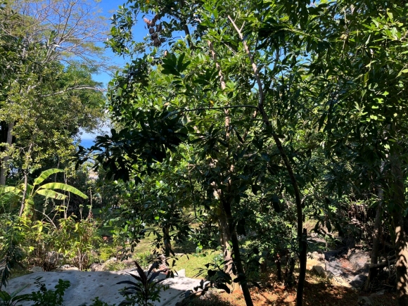 À VENDRE – Magnifique propriété à 20 m de la plage sur Nosy Komba