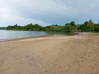 Grand terrain avec plage à prix cassé !