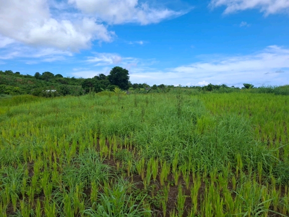OPPORTUNITE D'INVESTISSEMENT: Domaine Résidentiel Vue Mer