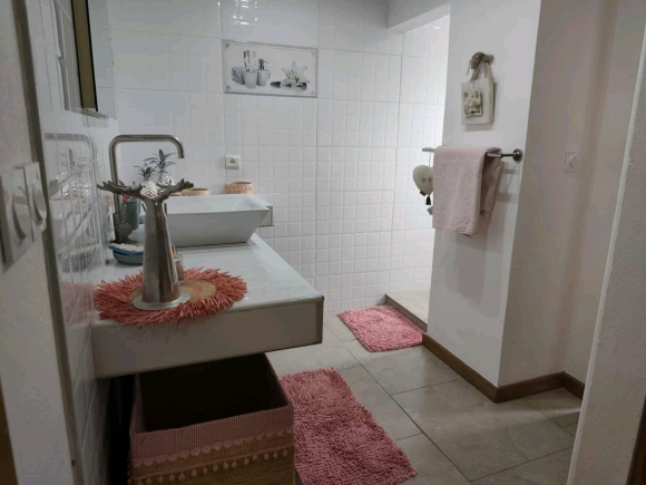 À VENDRE – Superbe Propriété Alliant Charme Tropical et Confort Européen