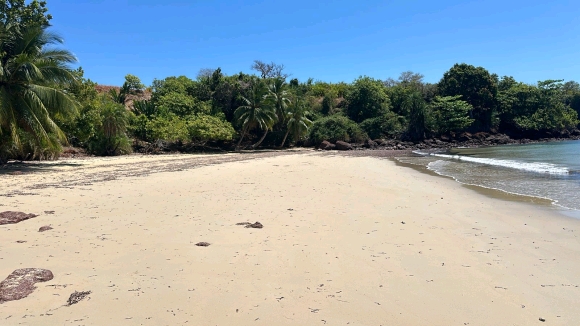 ​À vendre : Terrain plat en bord de plage sur une île paradisiaque !