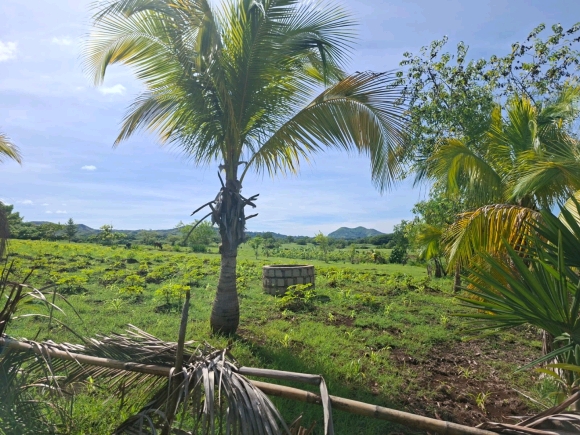 COUP DE COEUR: Votre Domaine Vue Mer dans un quartier résidentiel !