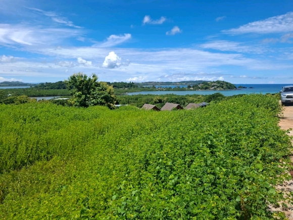 Terrain proche de la mer avec une merveilleuse vue panoramique dans un secteur en pleine